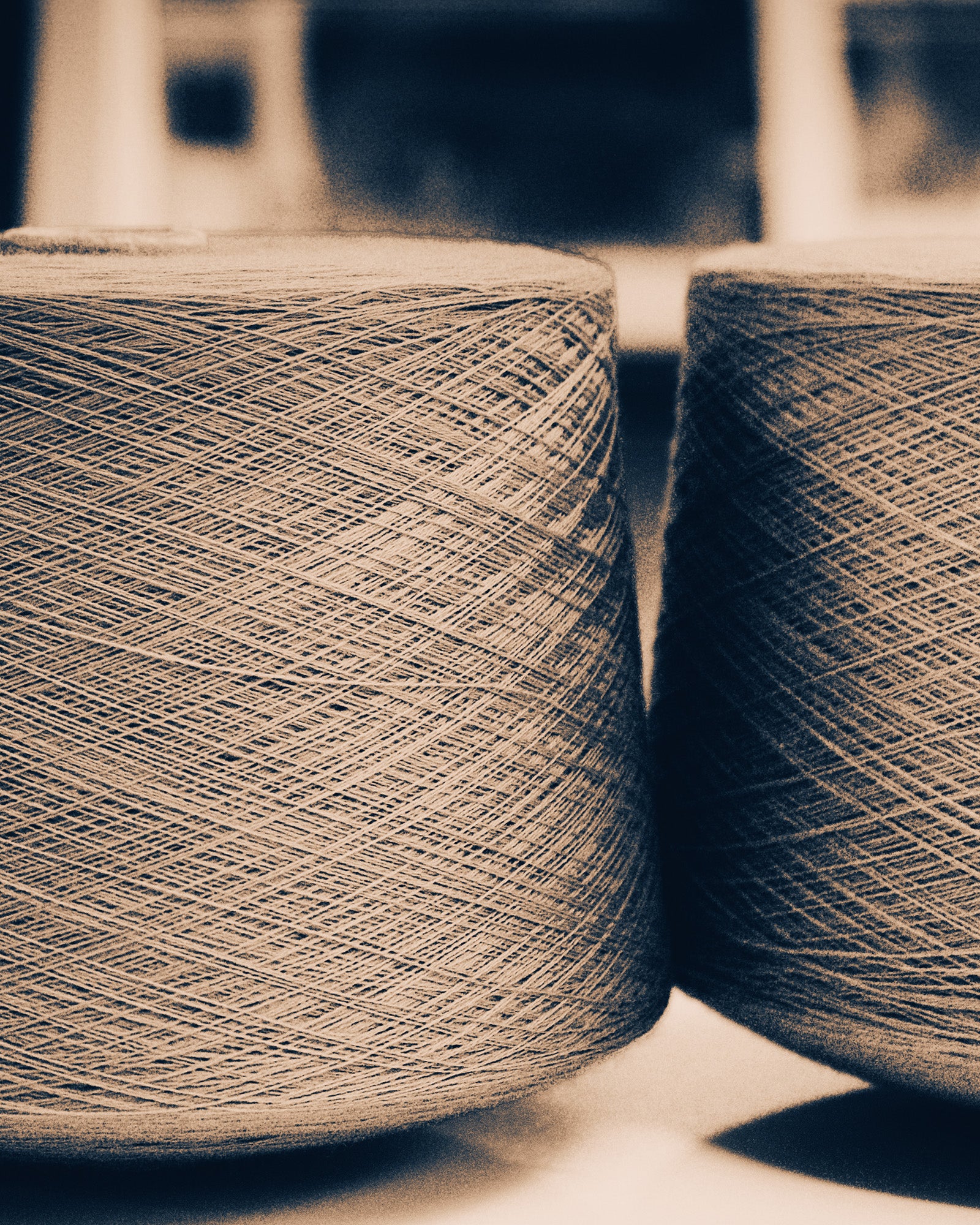 Wide Open World's Tasmanian Superfine Merino yarn on cones