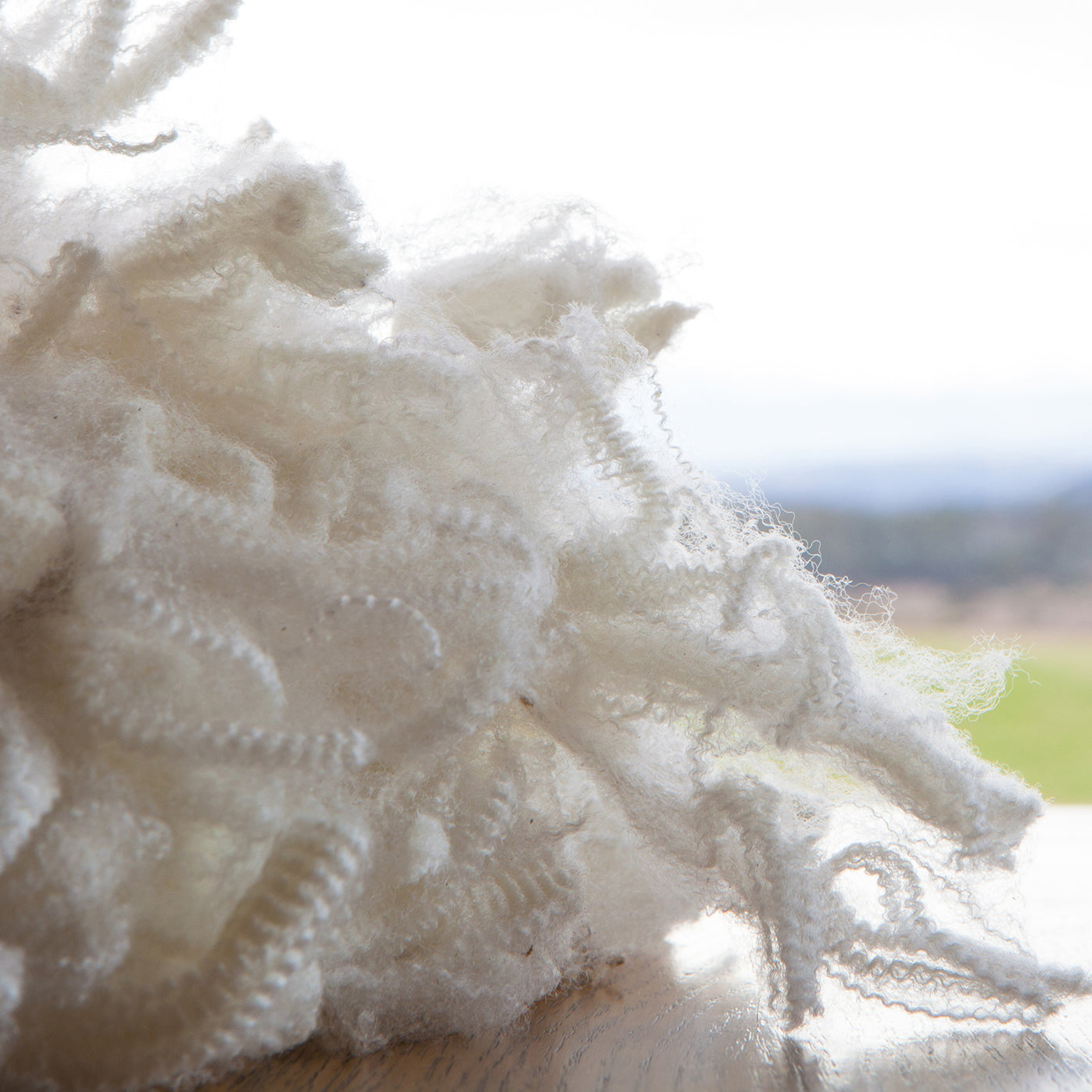 Wide Open World craft desirable knitwear from exclusive Tasmanian Merino while restoring balance for true sustainability