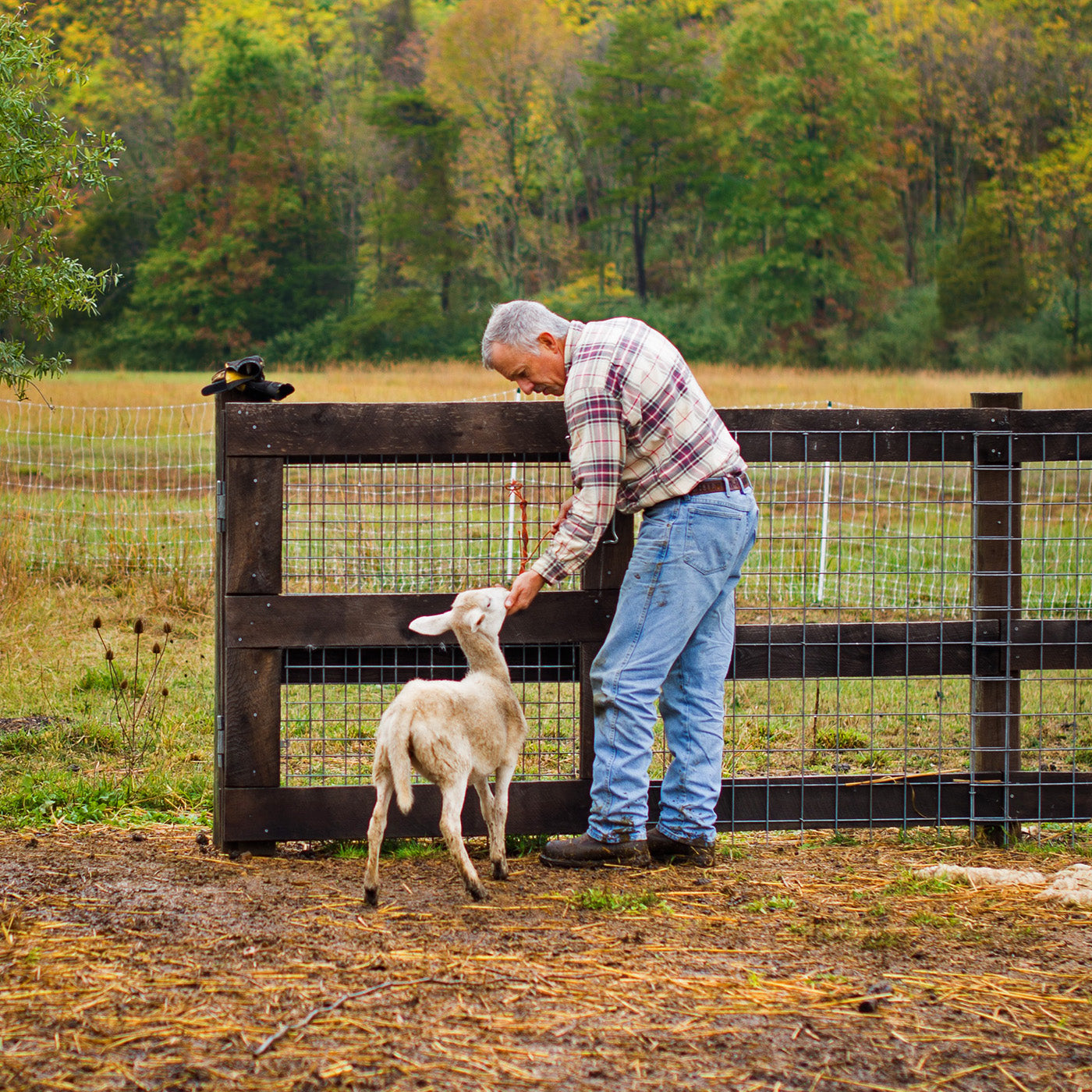 Ethically and Responsibly sourced fine natural materials