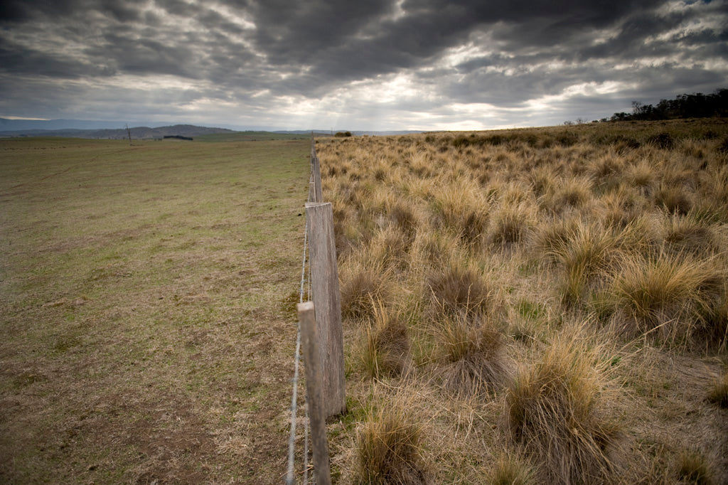 Limits to growth, restore balance, positive impact, set limits, planetary boundaries