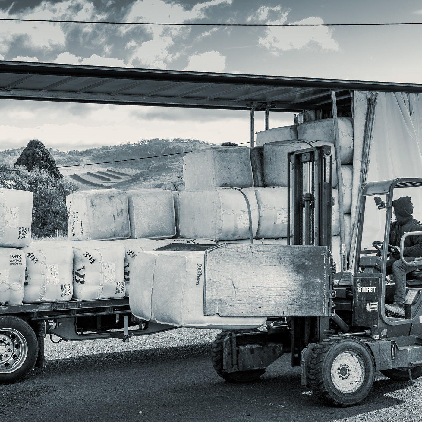 Tasmanian Merino Wool bales