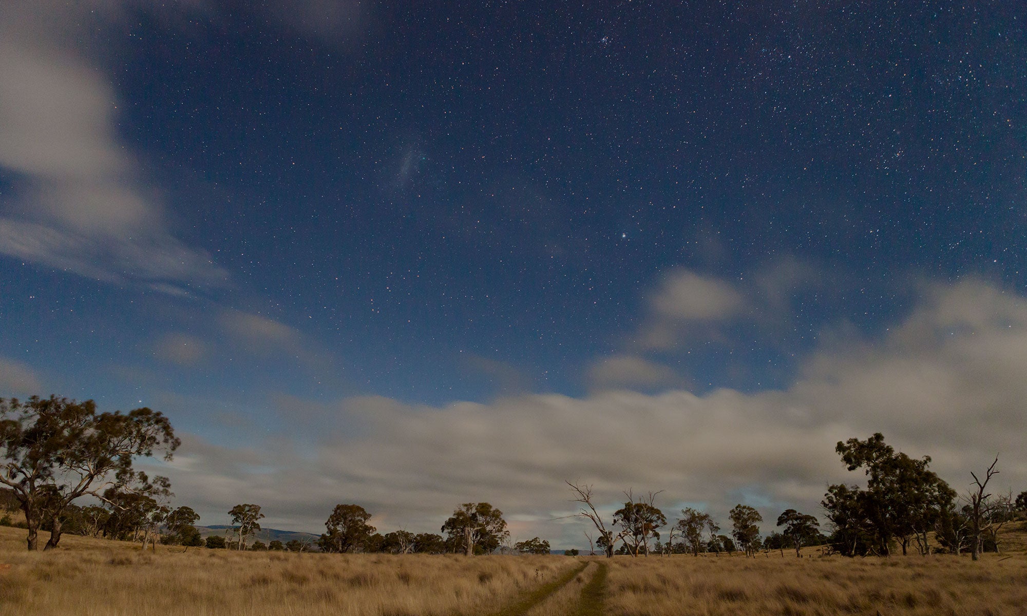 Tasmania midlands grassy woodland Merino Farm